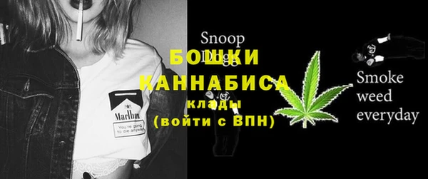 дмт Лагань