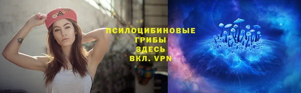apvp Лабытнанги
